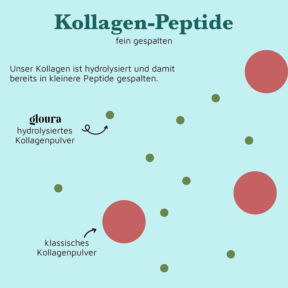 Kollagen Creamer – 300g